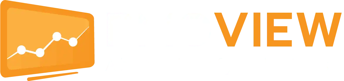 PMO View